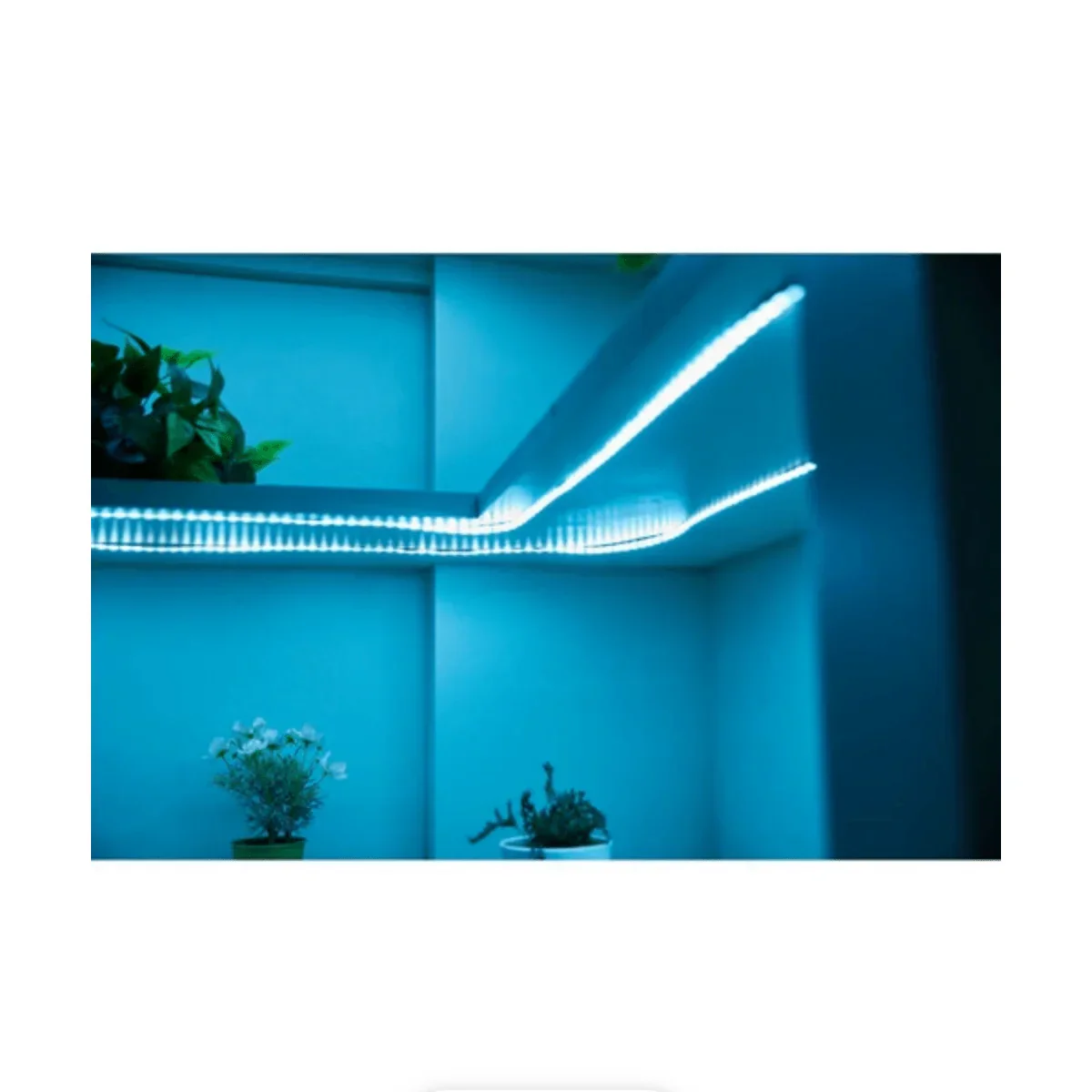 amaran SM5c LED Light Strip (16.4', Multicolor) - Image 8