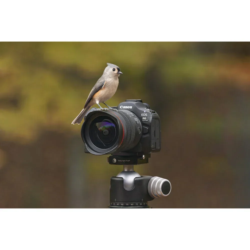 Canon EOS R6 Mark III Mirrorless Camera - Image 10