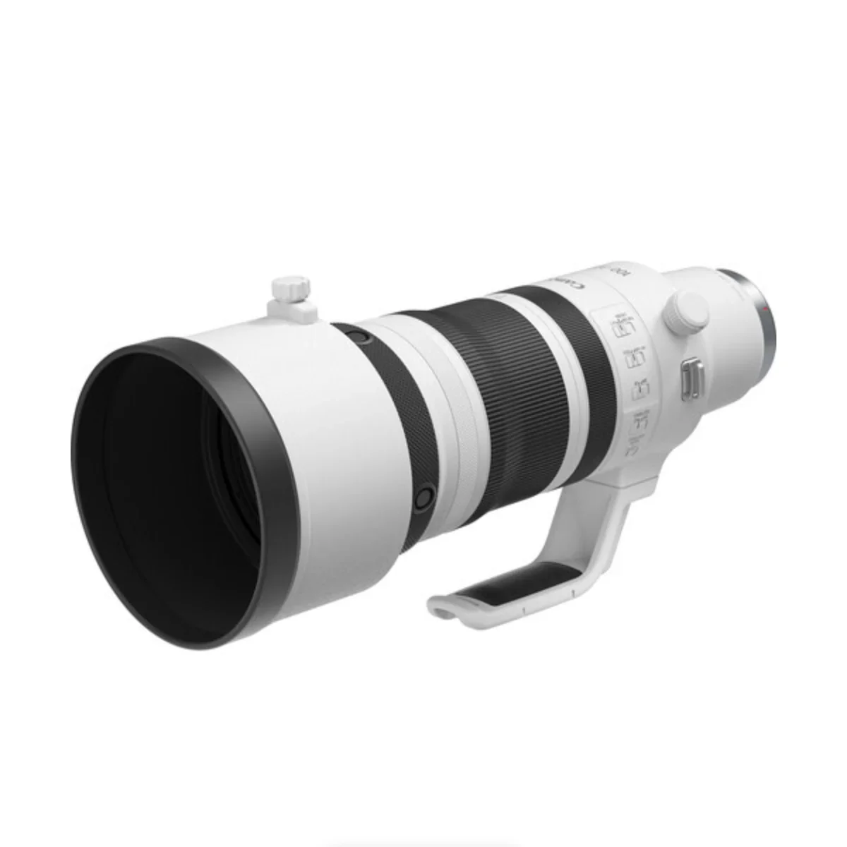 Canon RF 100-300mm f/2.8 L IS USM Lens - Image 7