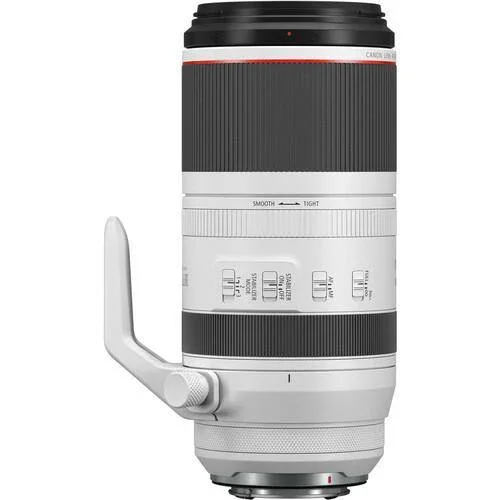 Canon RF 100-500mm f/4.5-7.1 L IS USM Lens - Image 3