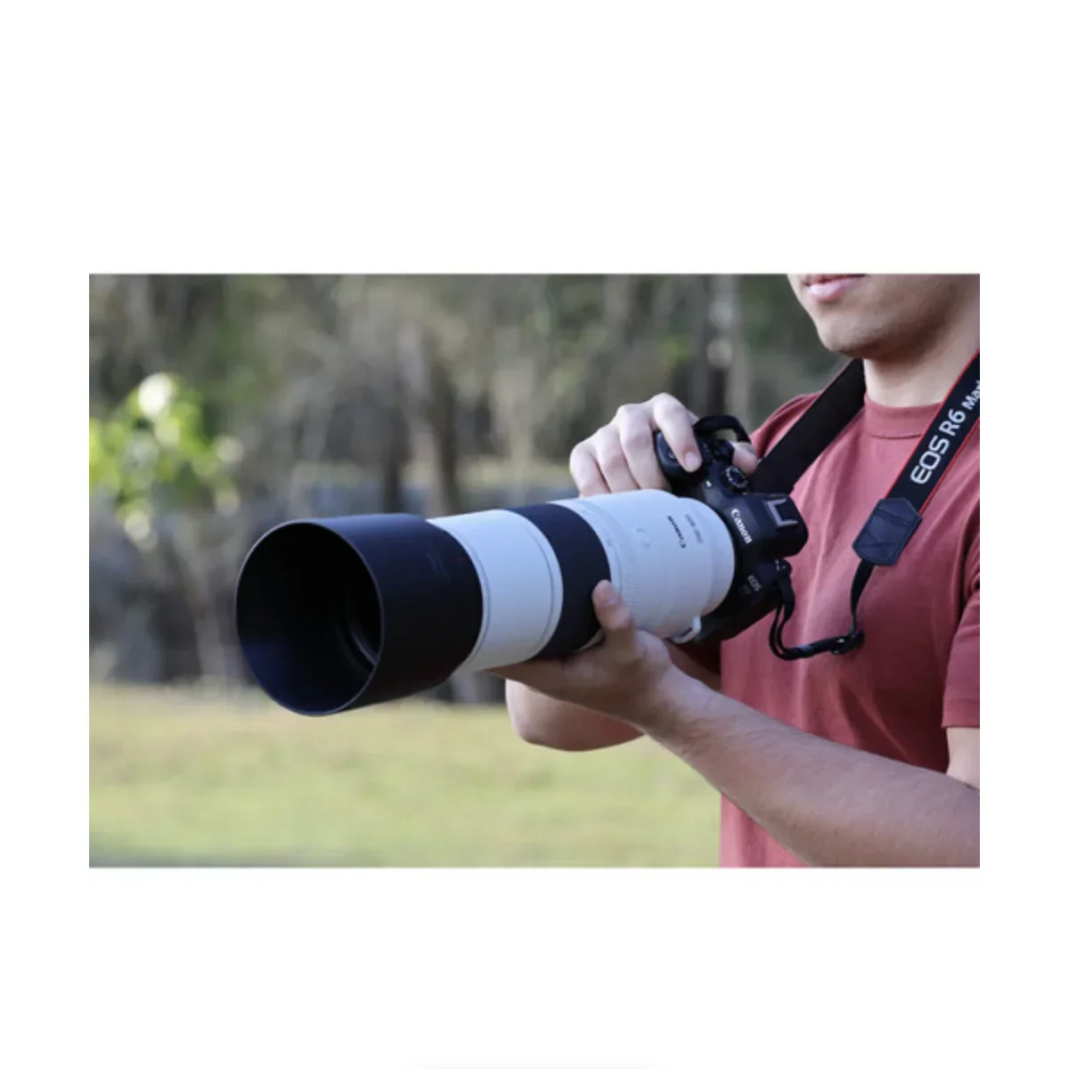 Canon RF 200-800mm f/6.3-9 IS USM Lens - Image 10