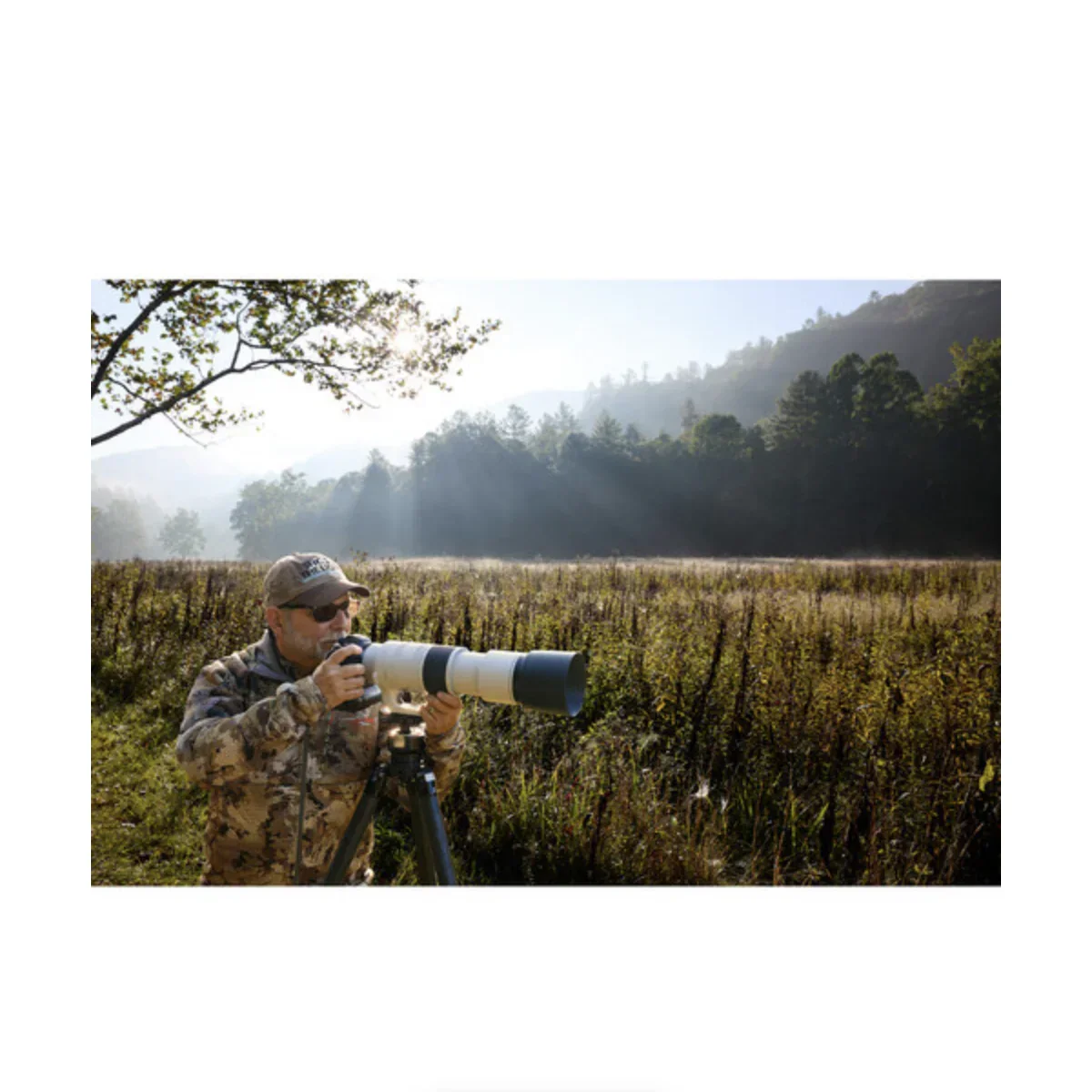 Canon RF 200-800mm f/6.3-9 IS USM Lens - Image 12