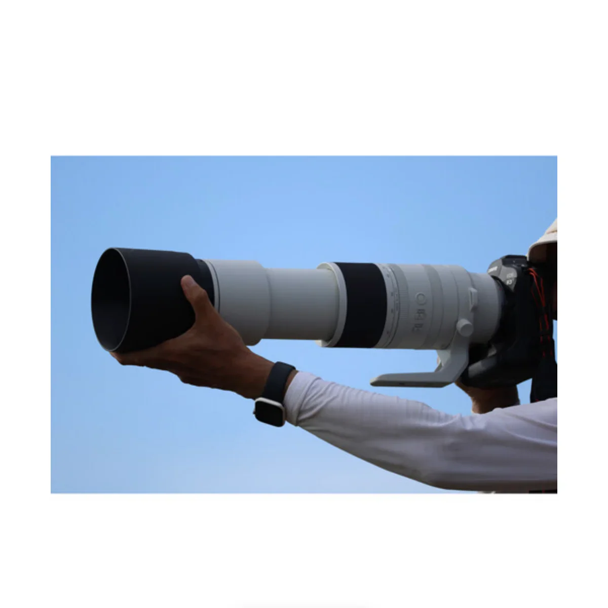 Canon RF 200-800mm f/6.3-9 IS USM Lens - Image 8