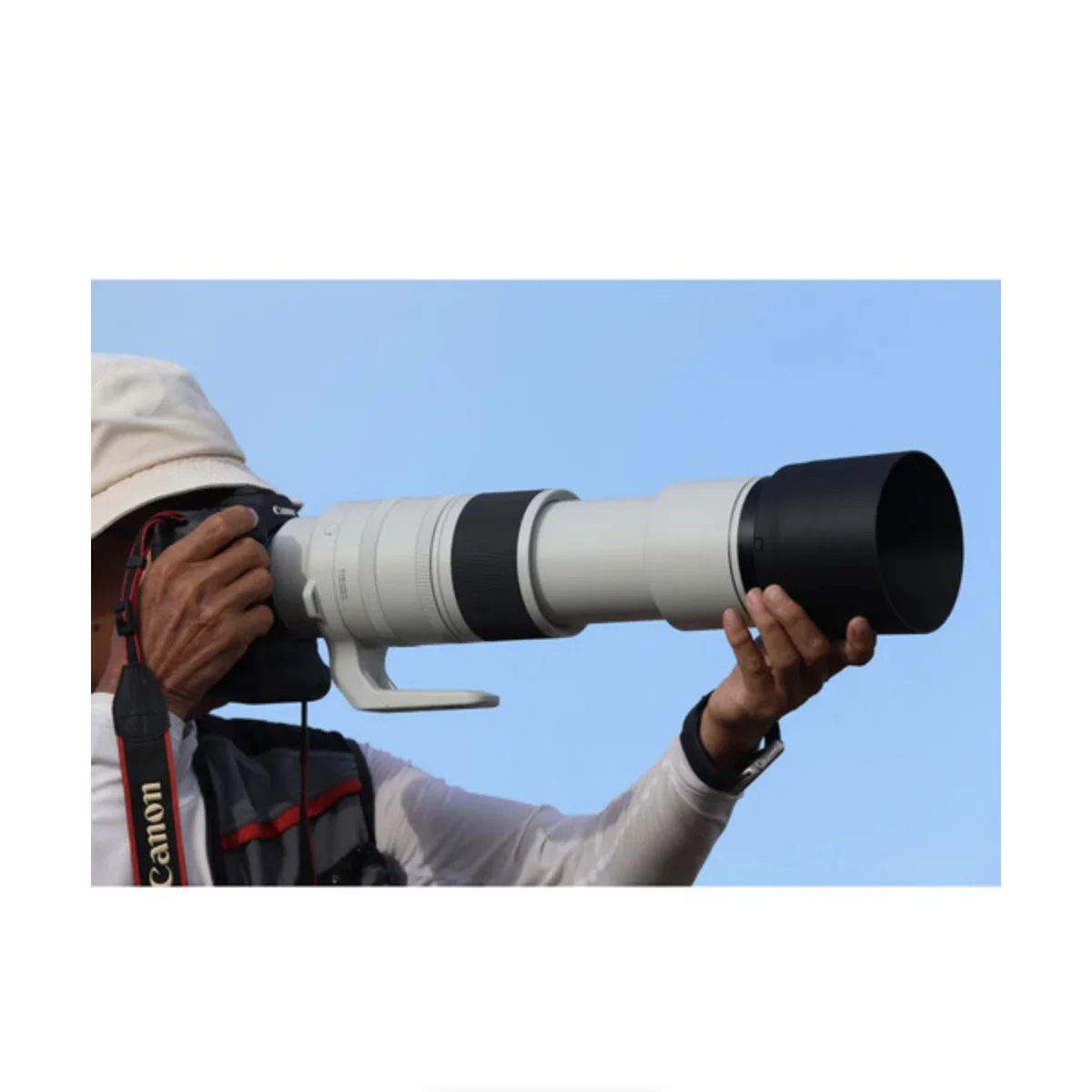 Canon RF 200-800mm f/6.3-9 IS USM Lens - Image 9
