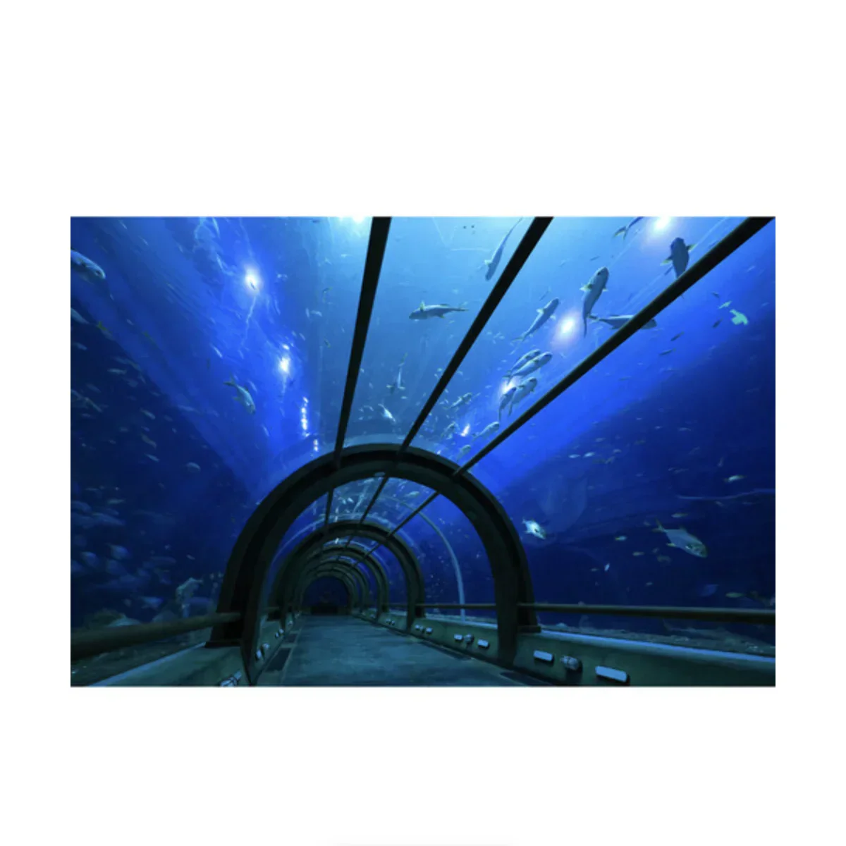 Canon RF-S 10-18mm f/4.5-6.3 IS STM Lens - Image 12