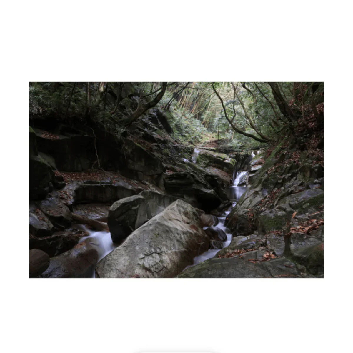 Canon RF-S 18-150mm f/3.5-6.3 IS STM Lens - Image 10