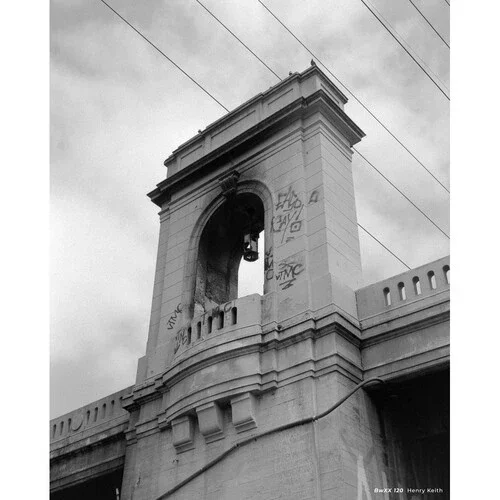 CineStill Film BwXX Black And White Negative Film (120 Roll Film) - Image 3