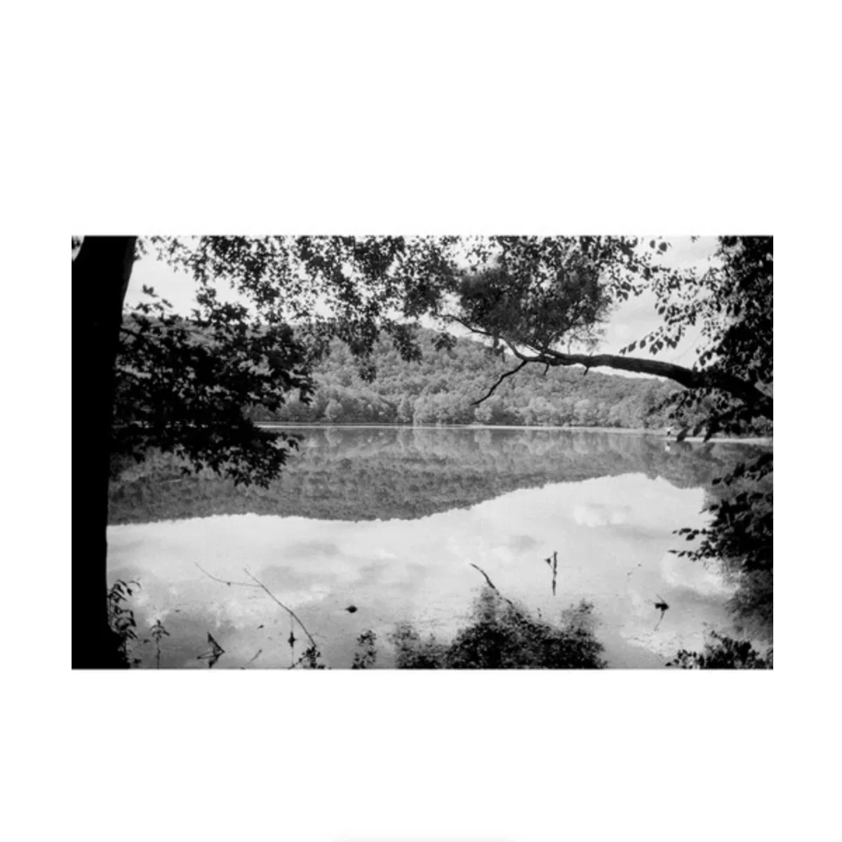 Film Photography Project DRACULA 64 B&W Negative Film (35mm Roll Film, 24 Exposures) - Image 4