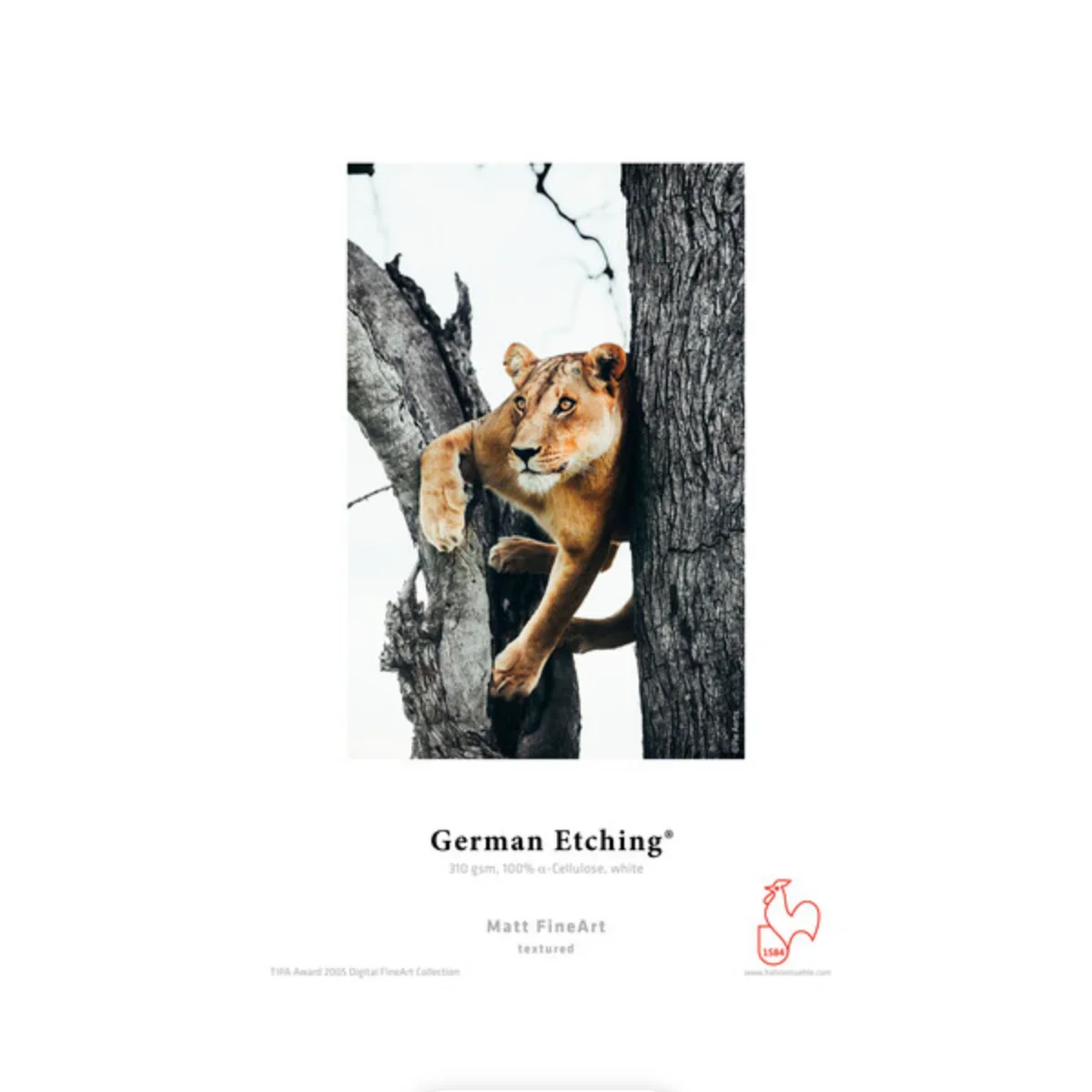 Hahnemuhle German Etching Paper (8.5 x 11'' , 25 Sheets)