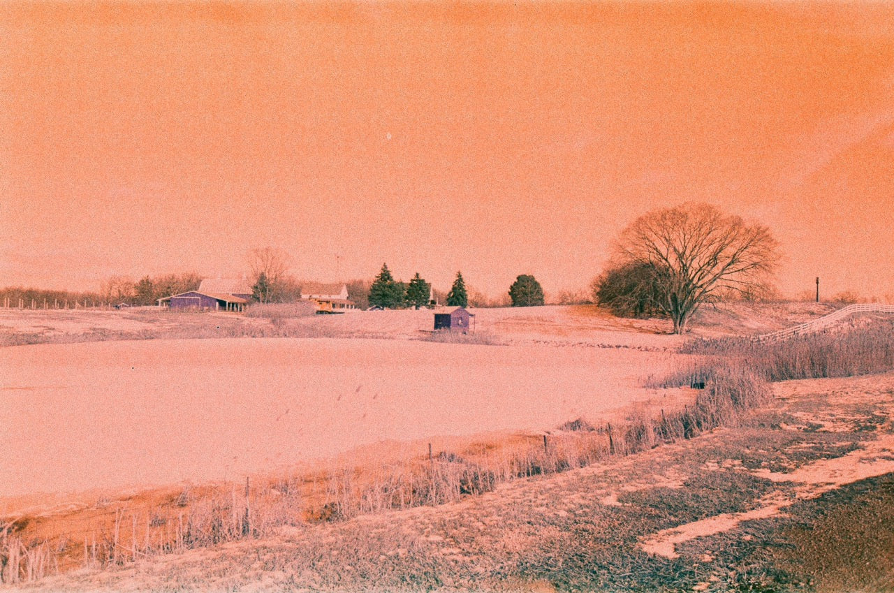 HARMAN SWITCH AZURE Film (120 Roll Film) - Image 12
