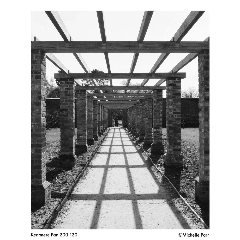 Kentmere PAN 200 Black & White Negative Film (120 Roll Film) - Image 11