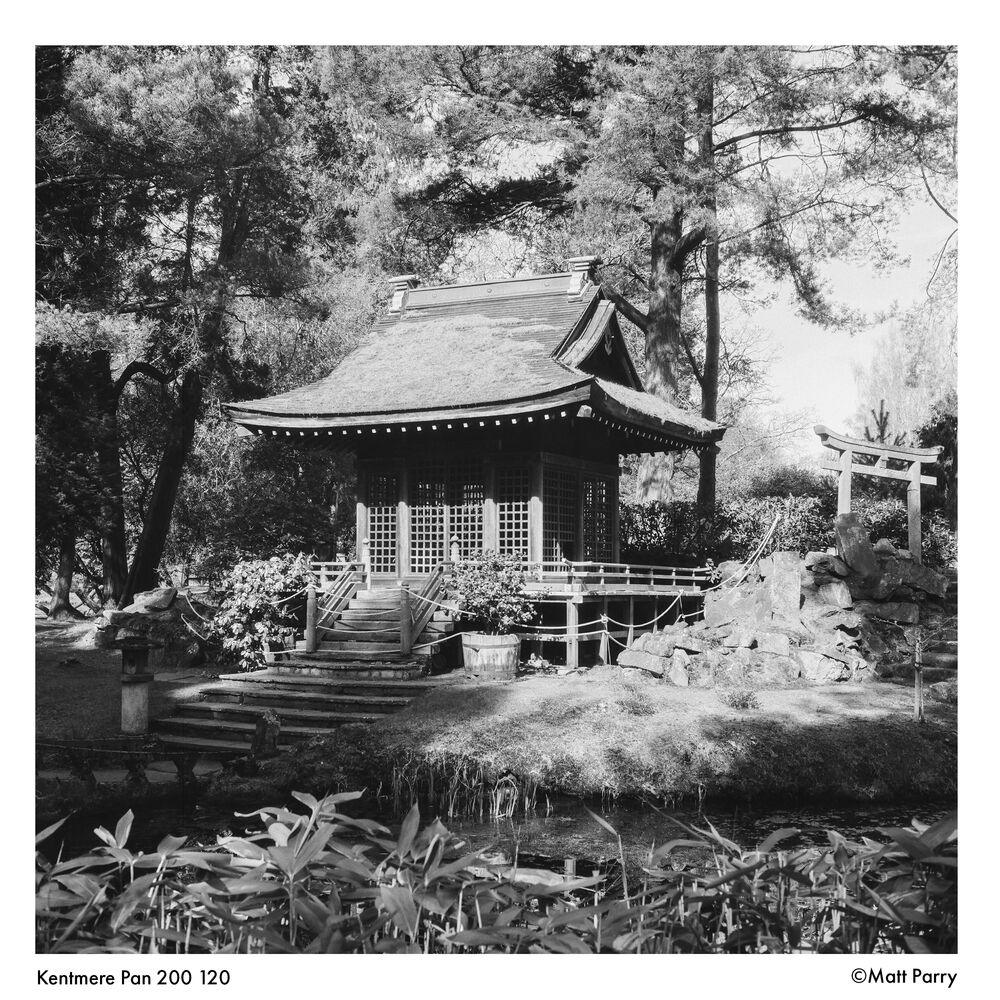 Kentmere PAN 200 Black & White Negative Film (120 Roll Film) - Image 9