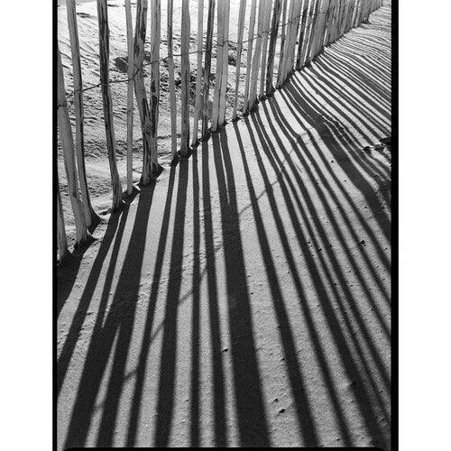 Kodak Professional Tri-X 400 Black and White Negative Film (120 Roll Film) 5-Pack - Image 2
