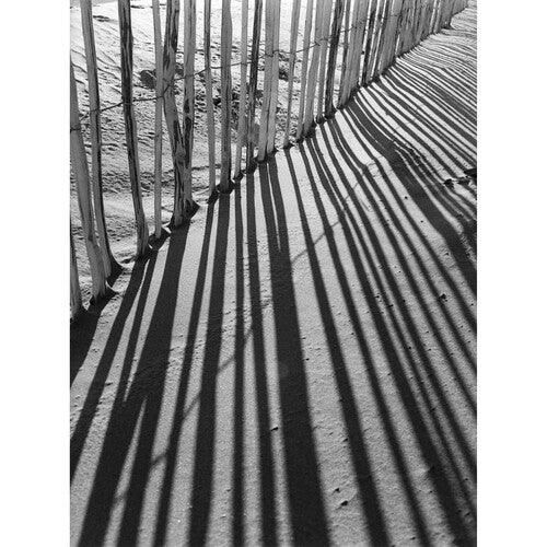 Kodak Professional Tri-X 400 Black and White Negative Film (35mm Roll Film, 36 Exposures) - Image 5