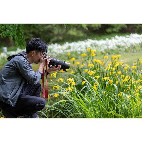Nikon NIKKOR Z 100-400mm f/4.5-5.6 VR S Lens - Image 7
