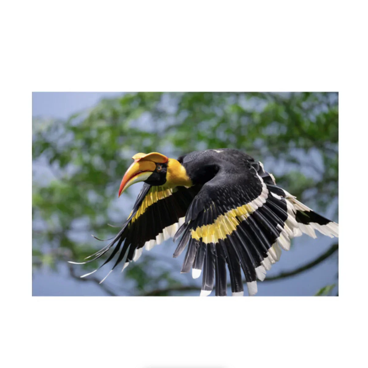 Nikon NIKKOR Z 600mm f/6.3 VR S Lens - Image 14