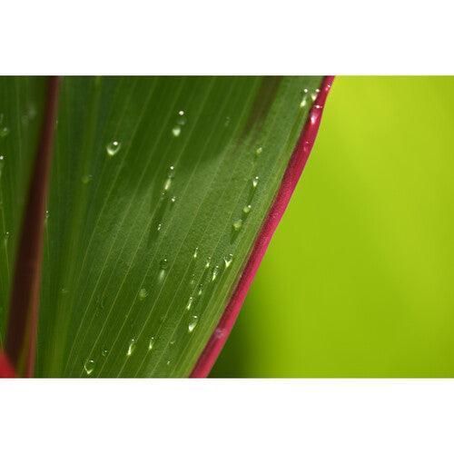 Nikon NIKKOR Z DX 18-140mm f/3.5-6.3 VR Lens - Image 8