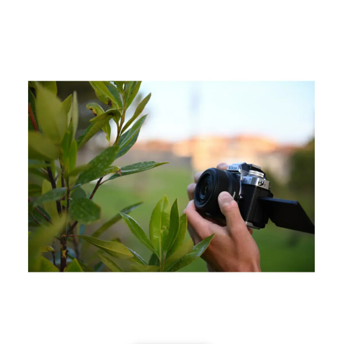 Nikon NIKKOR Z DX 24mm f/1.7 Lens - Image 11