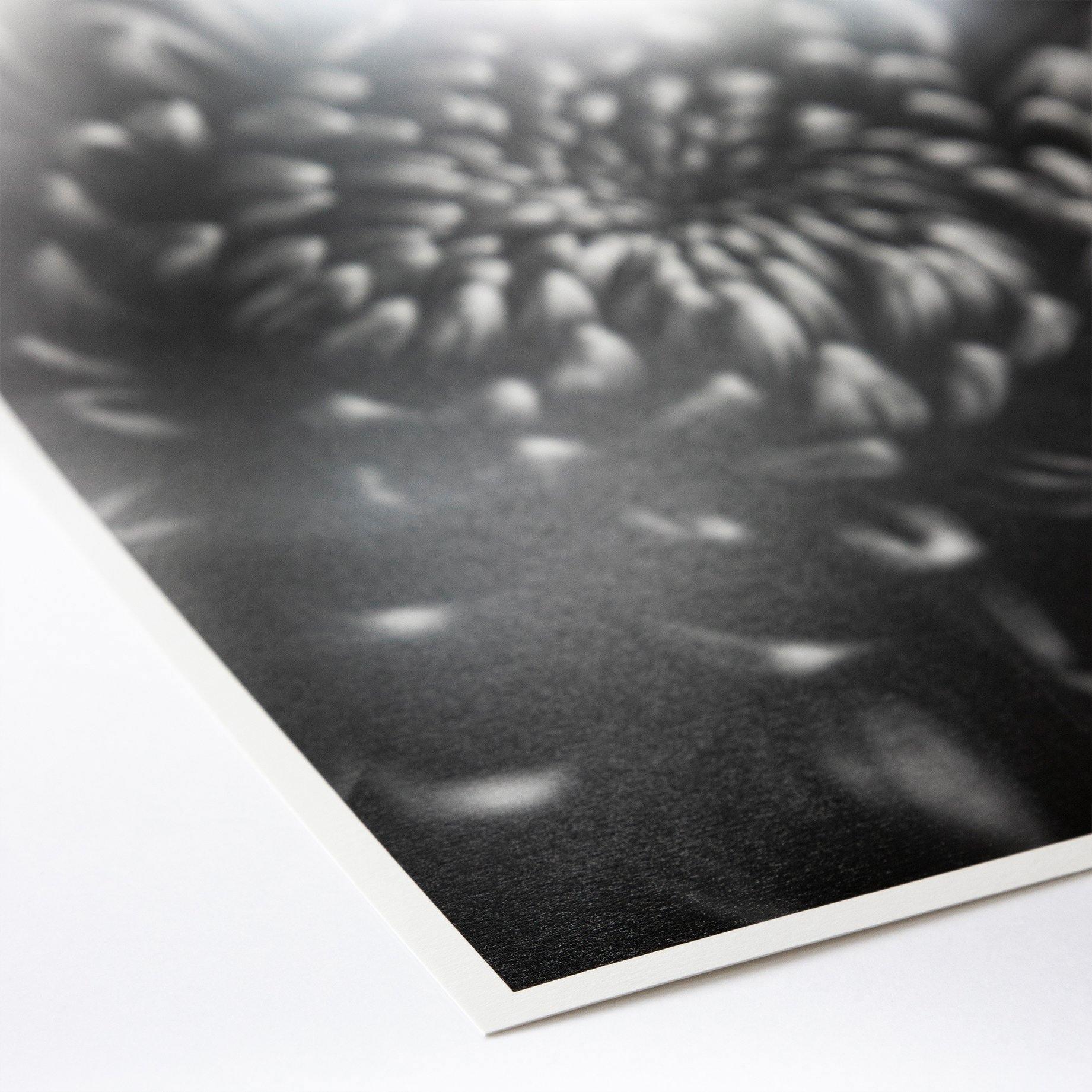 ProMaster Fine Art Baryta Natural Satin Inkjet Photo Paper - 11''x17'' - 20 Sheets - Image 2