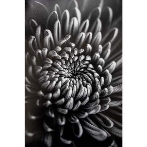 ProMaster Fine Art Baryta Natural Satin Inkjet Photo Paper - 13''x19'' - 20 Sheets - Image 4