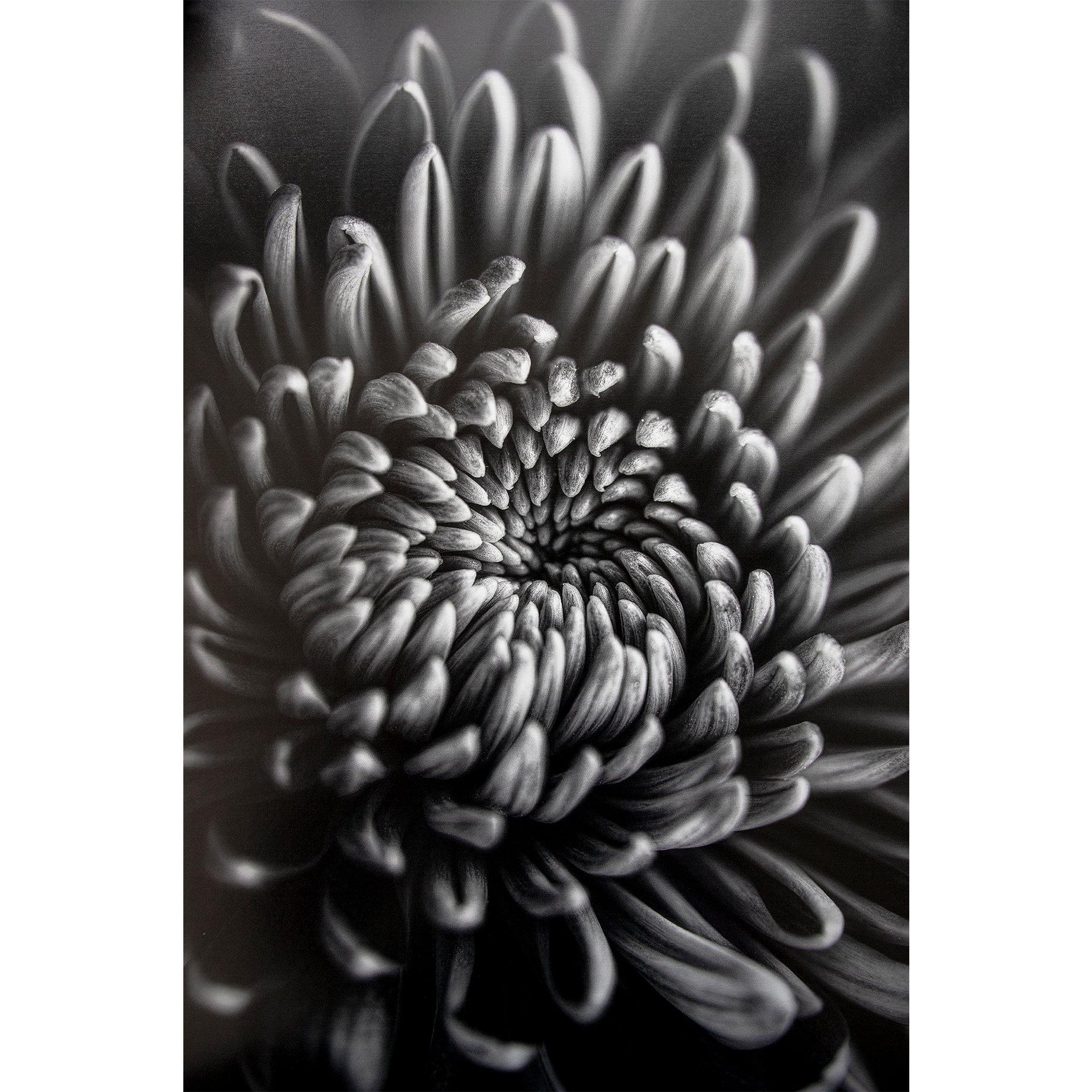 ProMaster Fine Art Baryta Natural Satin Inkjet Photo Paper - 8.5''x11'' - 20 Sheets - Image 4