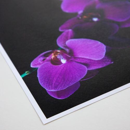 ProMaster Matte 65 Paper (11"x17", 20 Sheets) - Image 2