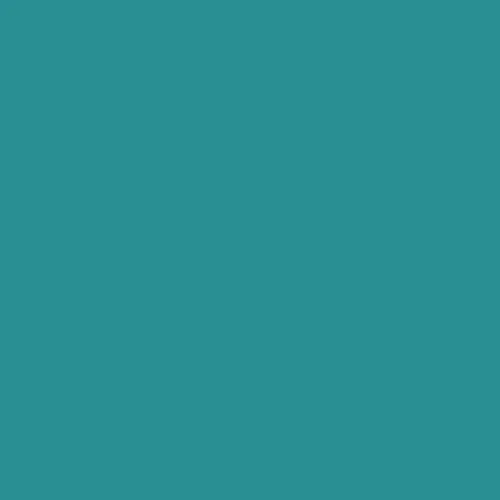 Savage Seamless Paper 107'' x 36 ft - Teal