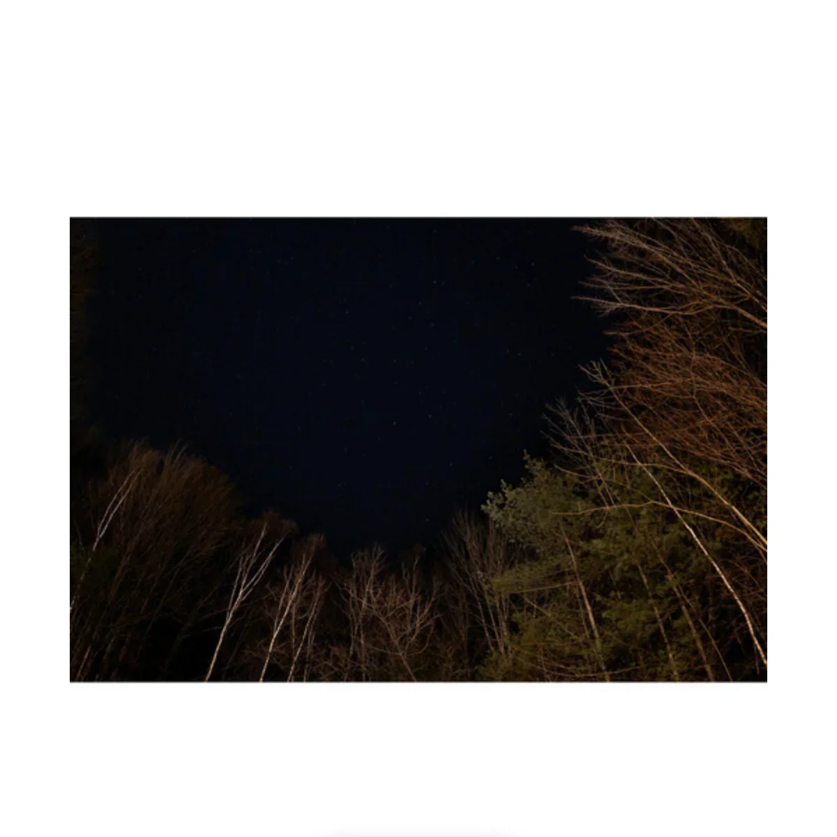 Sigma 15mm f/1.4 DG DN Art Lens for Sony E - Image 12