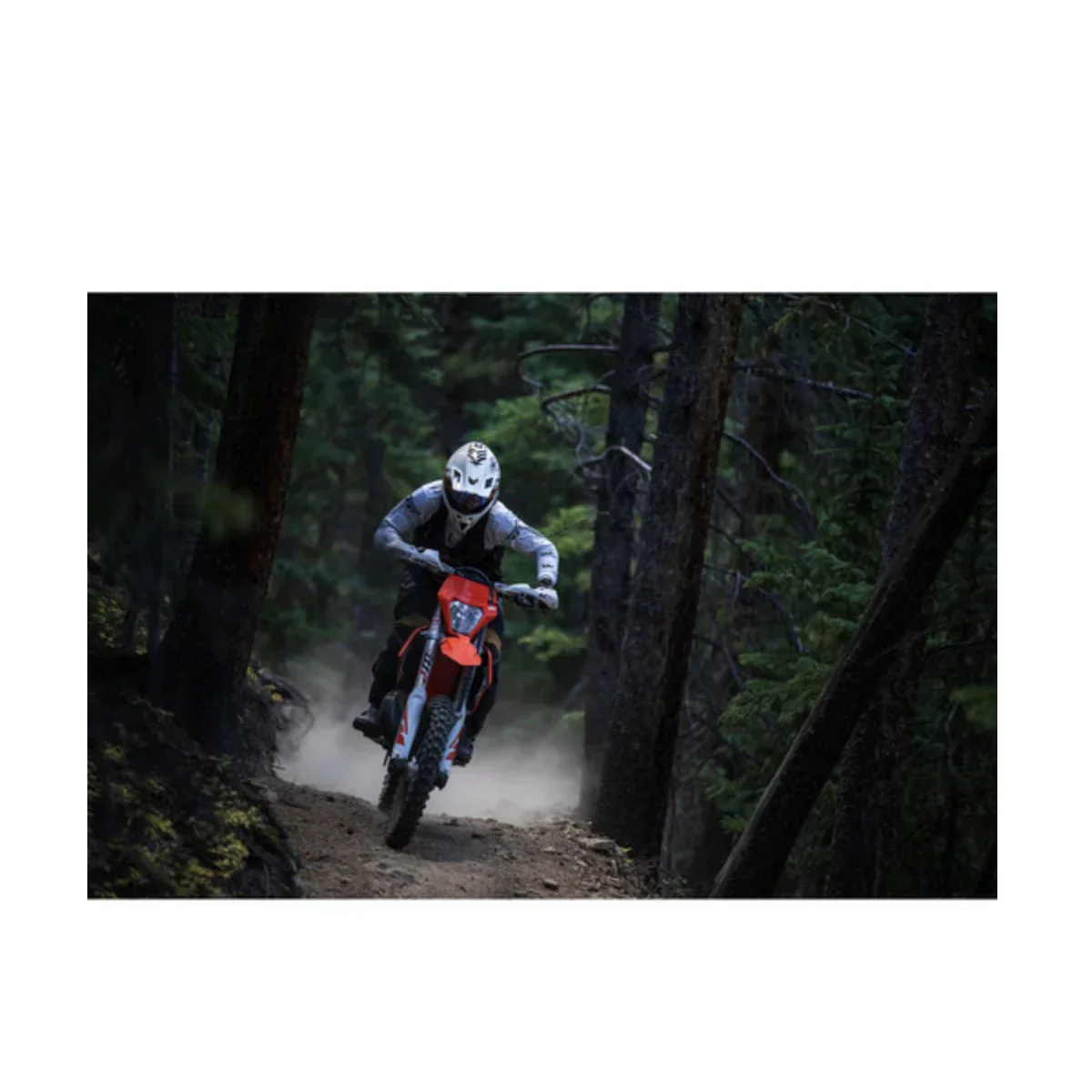 Sigma 70-200mm f/2.8 DG DN OS Sports Lens for Sony E - Image 17