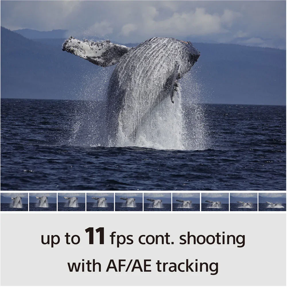 Sony a6100 Mirrorless Camera with PZ 16-50mm f/3.5-5.6 II Lens - Image 22