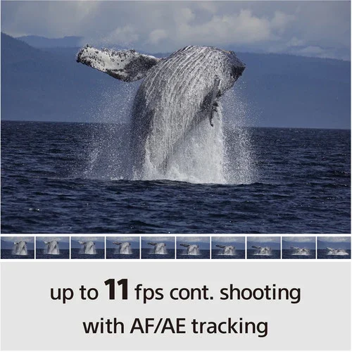Sony a6100 Mirrorless Camera with PZ 16-50mm II and 55-210mm Lenses - Image 22