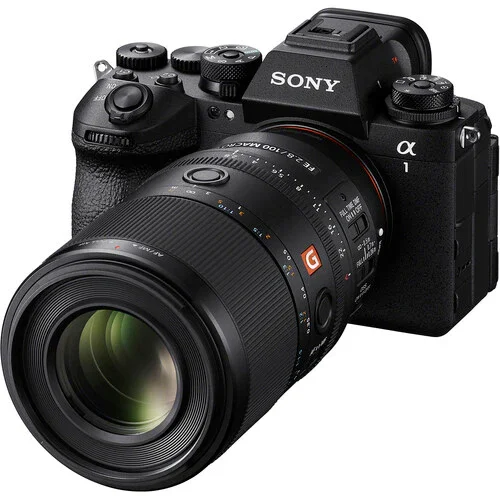 Sony FE 100mm f/2.8 MACRO GM OSS Lens - Image 8