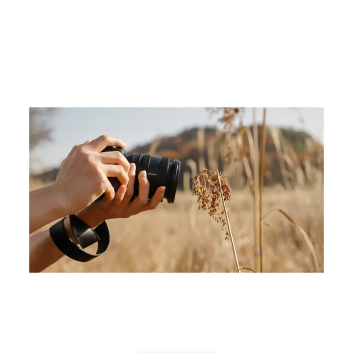 Sony FE 16-25mm f/2.8 G Lens - Image 16