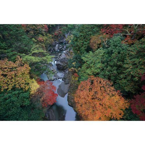 Sony FE 16-35mm f/2.8 GM Lens - Image 9