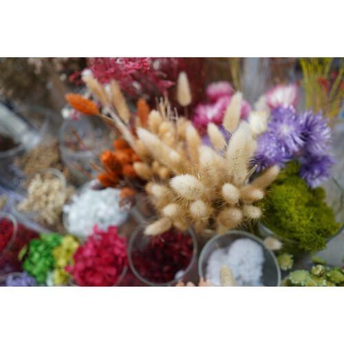 Sony FE 24mm f/2.8 G Lens - Image 16