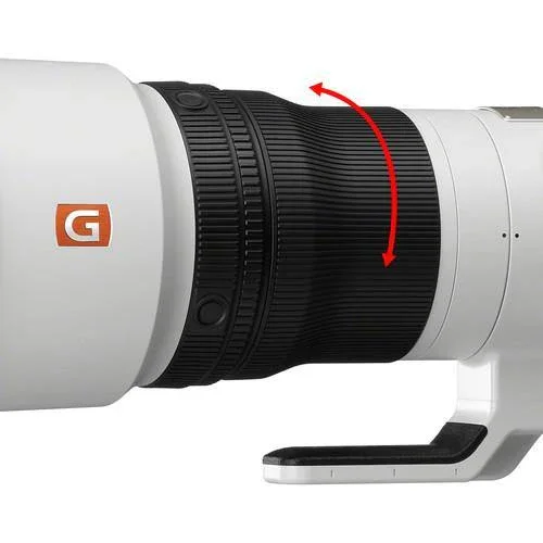 Sony FE 600mm f/4 GM OSS Lens - Image 12