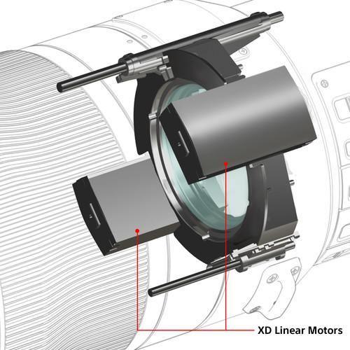Sony FE 600mm f/4 GM OSS Lens - Image 19