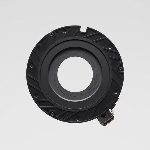 Sony FE 600mm f/4 GM OSS Lens - Image 20