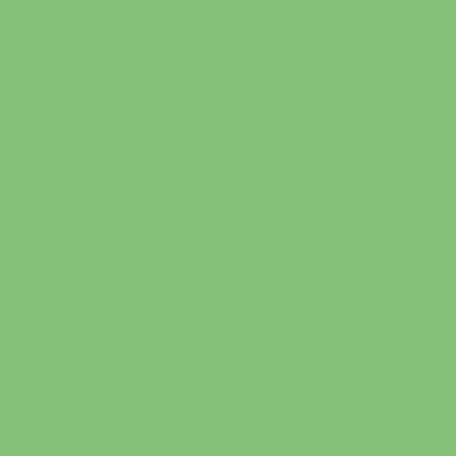 Superior Seamless Background Paper - 107'' X 36 ft - APPLE