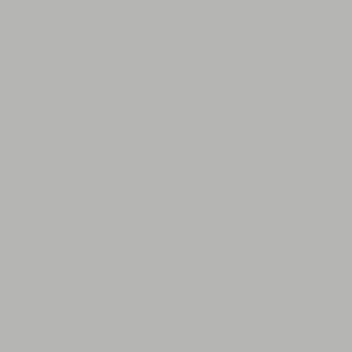 Superior Seamless Background Paper - 53''  x 36 ft - Slate Grey (Core)
