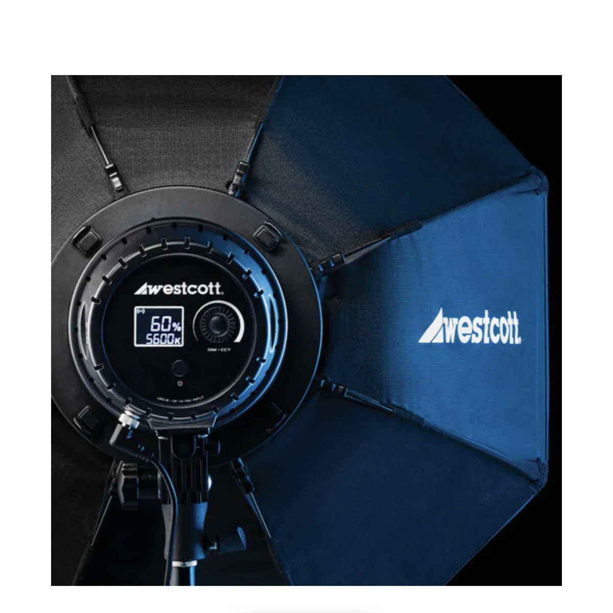 Westcott U60-B Bi-Color LED Monolight Kit with 22" Octabox - Image 10
